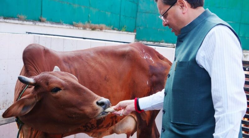मुख्यमंत्री पुष्कर सिंह धामी ने गौ पूजा की, कहा – गोवर्धन पर्व भक्ति और प्रकृति के प्रति आस्था का प्रतीक है।