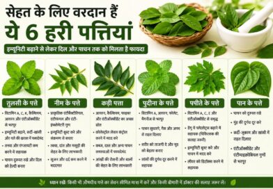 सेहत के लिए किसी वरदान से कम नहीं हैं ये 6 हरी पत्तियां, इम्यूनिटी बढ़ाने से लेकर दिल और पाचन तक को मिलता है फायदा